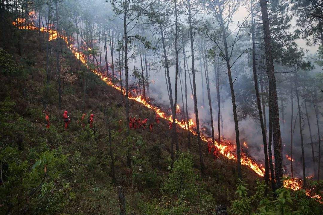 “防患于未然”木里县重大森林火灾牵动着无数人的心