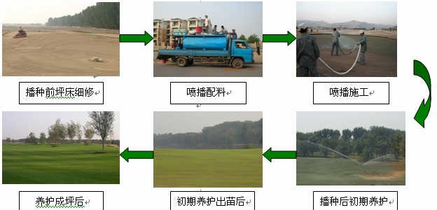 綠化施工流程